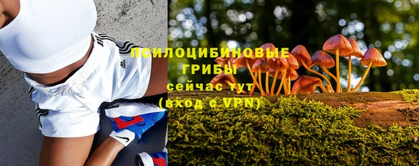 трава Абдулино