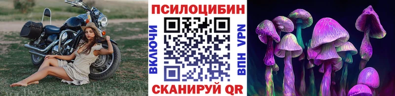 Галлюциногенные грибы GOLDEN TEACHER Новочеркасск