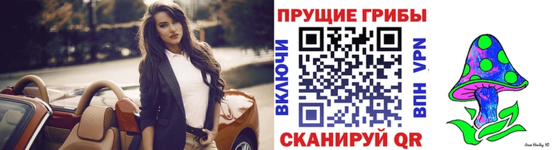 Галлюциногенные грибы MAGIC MUSHROOMS  даркнет состав  Новочеркасск 
